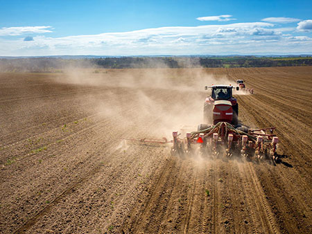 Мука ржаная в Алматы