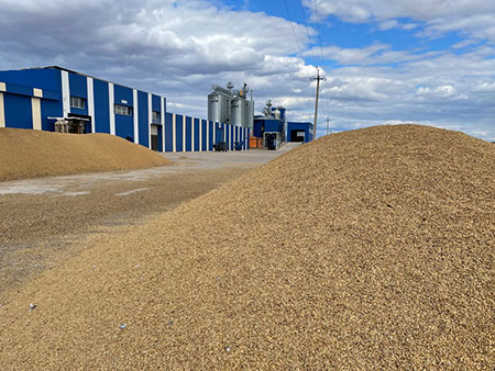 Мука Алматы