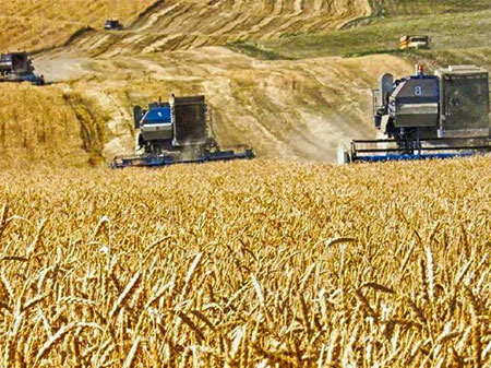 Мука ржаная в Алматы