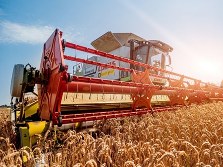 Рис оптом в Алматы