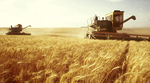 Мука оптом в Алматы