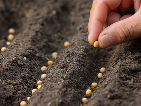 Мука Казахстан