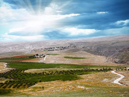 Мука ржаная в Алматы