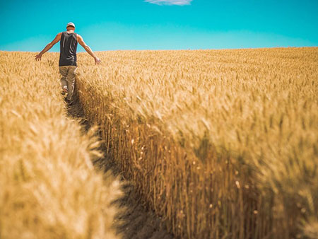 Оптовая продажа риса в Алматы