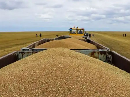 Мука Алматы