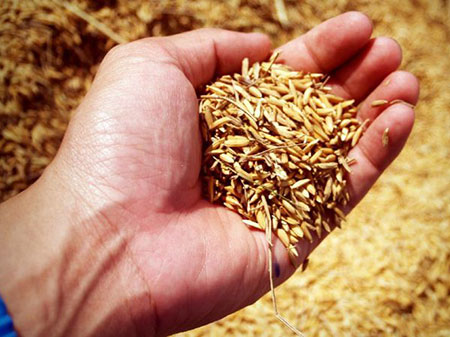 Мука Казахстан