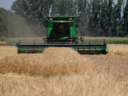 Рис оптом в Алматы