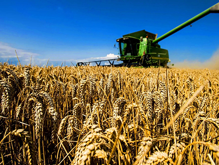 Мука Казахстан