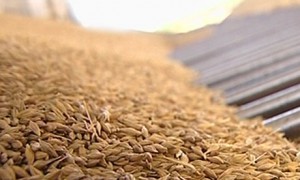 Купить сахар оптом в Алматы