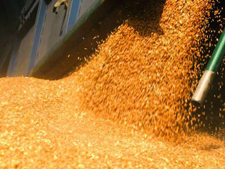 Мука Алматы